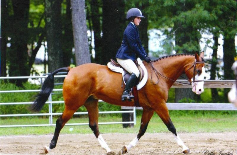 burnt meadow stables horse back riding lessons