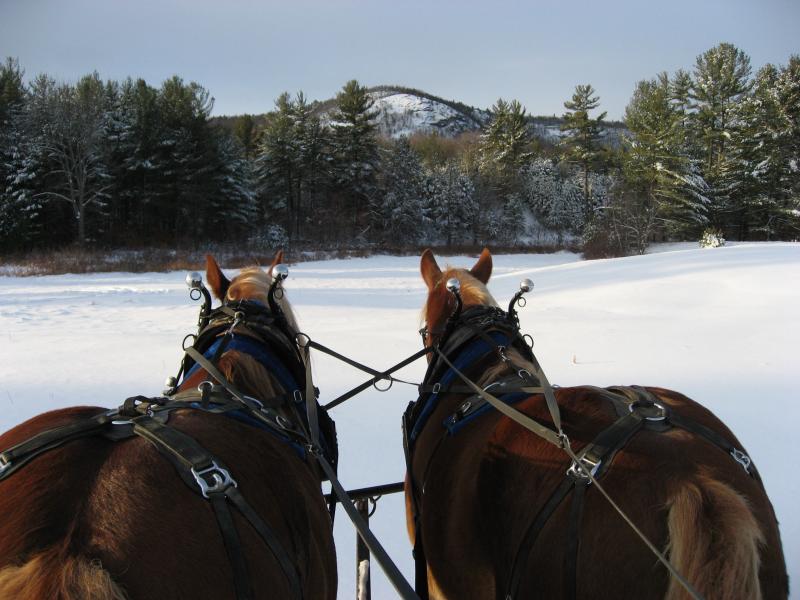 sleigh rides freedom nh purity springs burnt meadow stables horse back riding