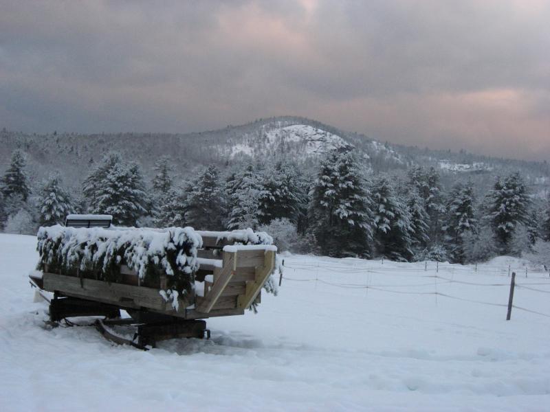 sleigh rides purity springs lessons boarding burnt meadow stables freedom nh