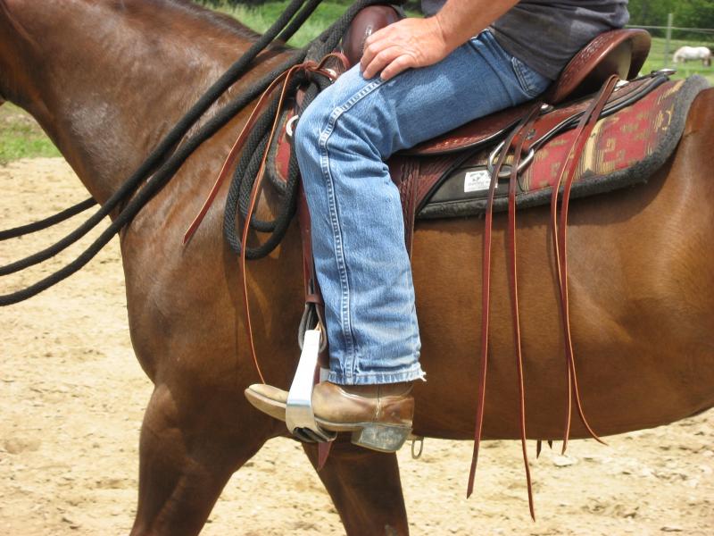 burnt meadow stables horse back riding lessons