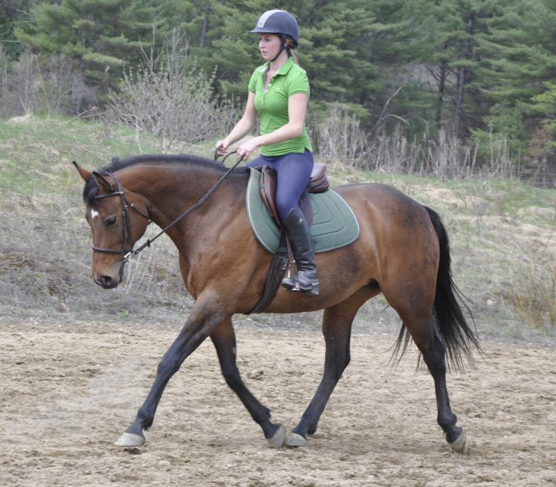 burnt meadow stables horse back riding lessons