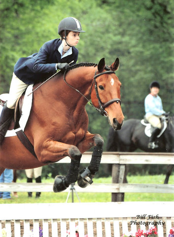 burnt meadow stables horse back riding lessons